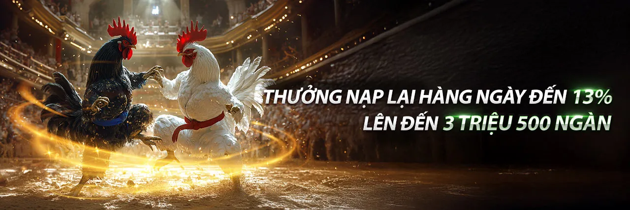 Sàn đấu thể thao và đá gà trực tiếp sabong67 hôm nay sôi động